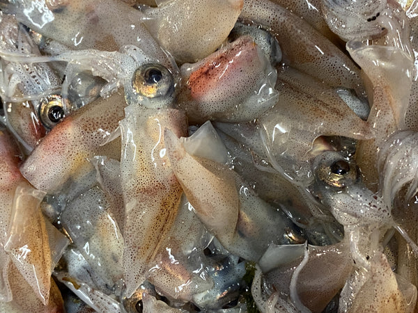 【送料無料】海の幸 季節の昆布締め3種セット