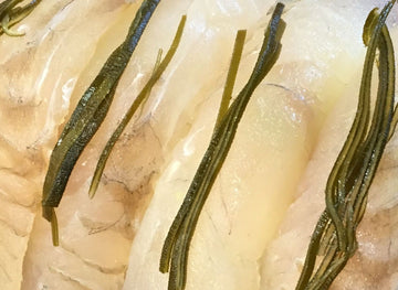 【昆布締め】季節のお魚はいかがですか？