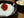 【紅鮭すじこ 醤油漬け 100g×5個